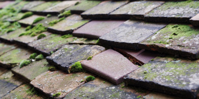 Bishampton roof repair costs